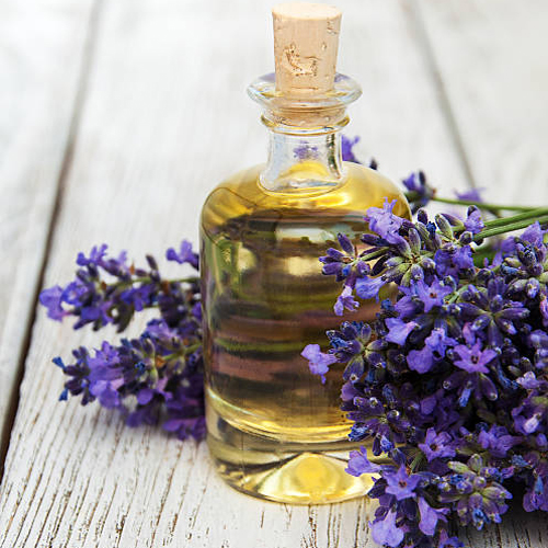 Lavender Oil