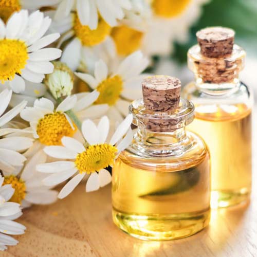 Chamomile Oil