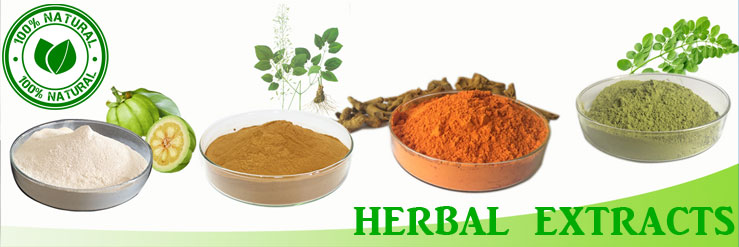 herbal-extract-exporter